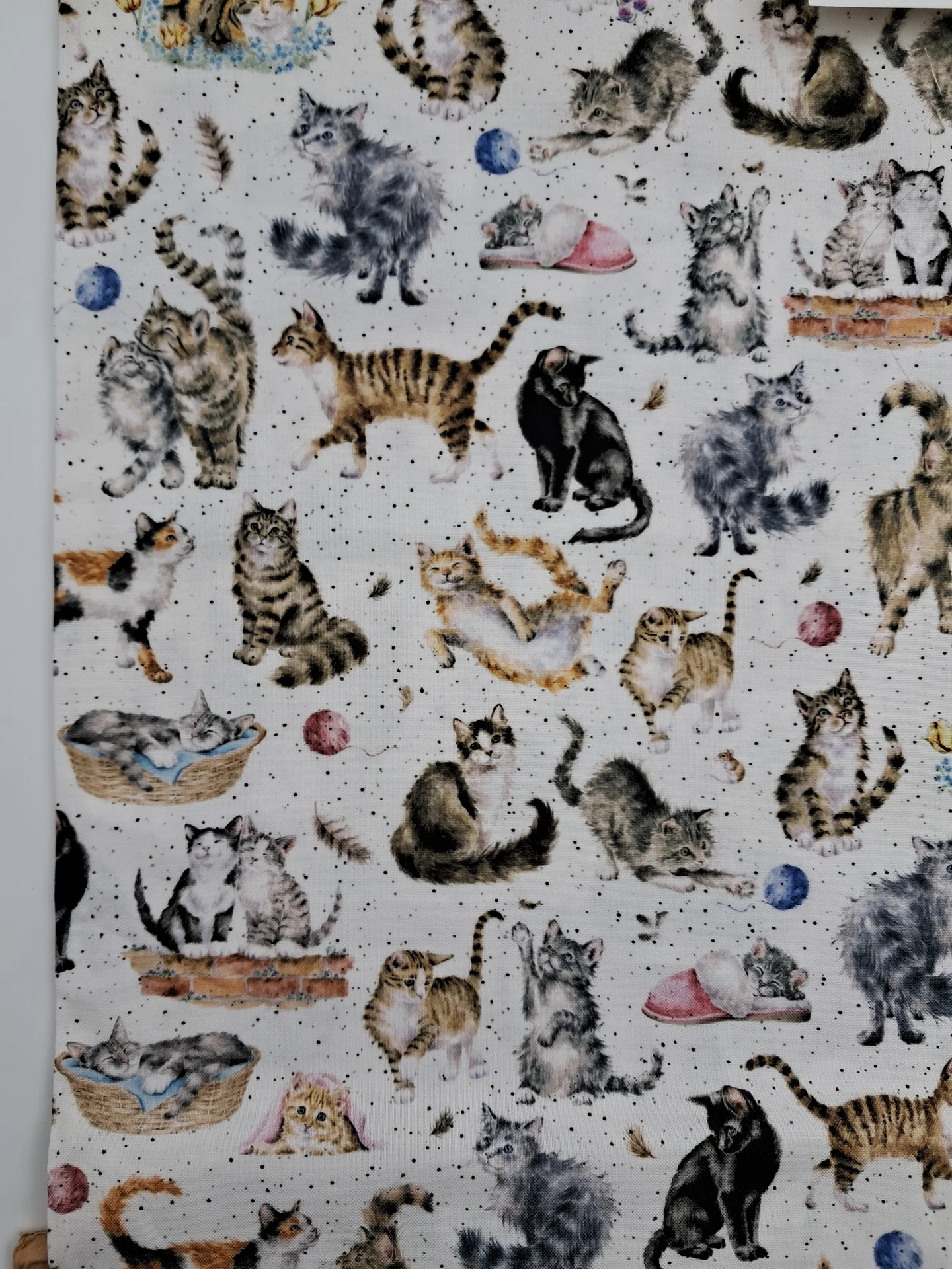 Animal Maywood Whiskers and Paws10414W Cats on Speckled Off White Background