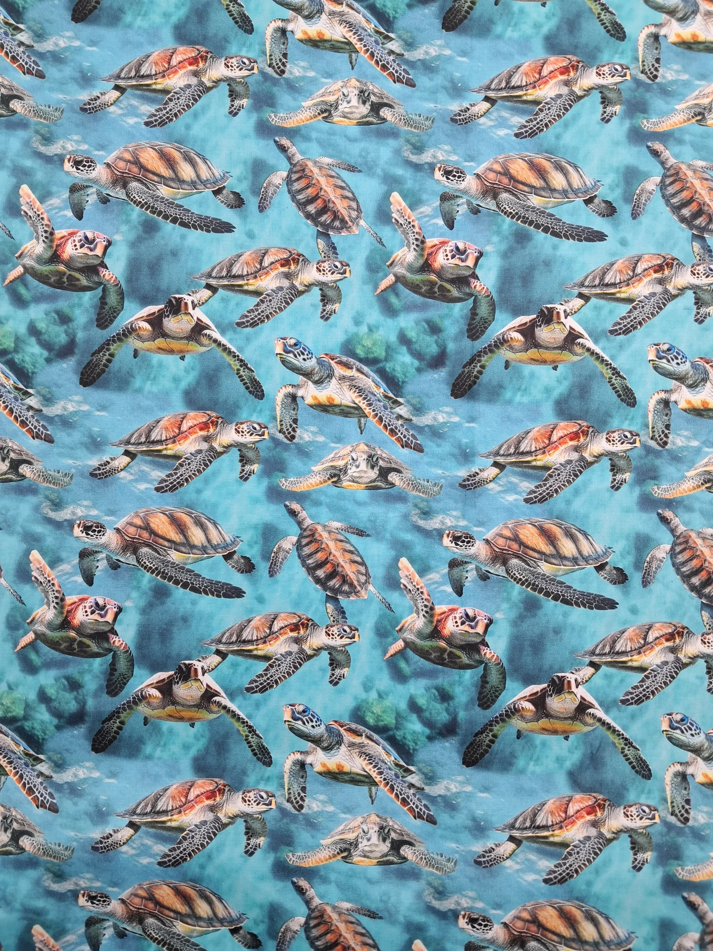 Animals Marine Marvels Turtles