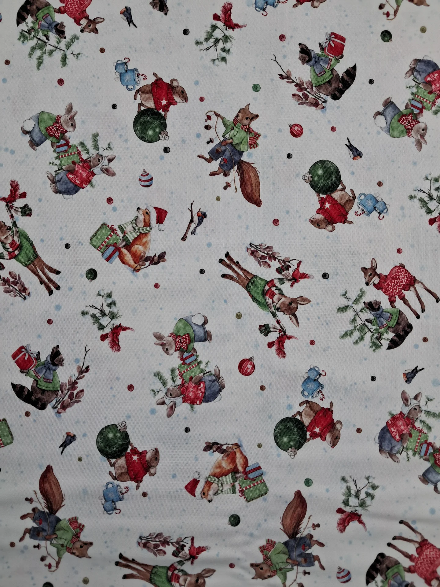 Christmas Frost and Fable 5798w