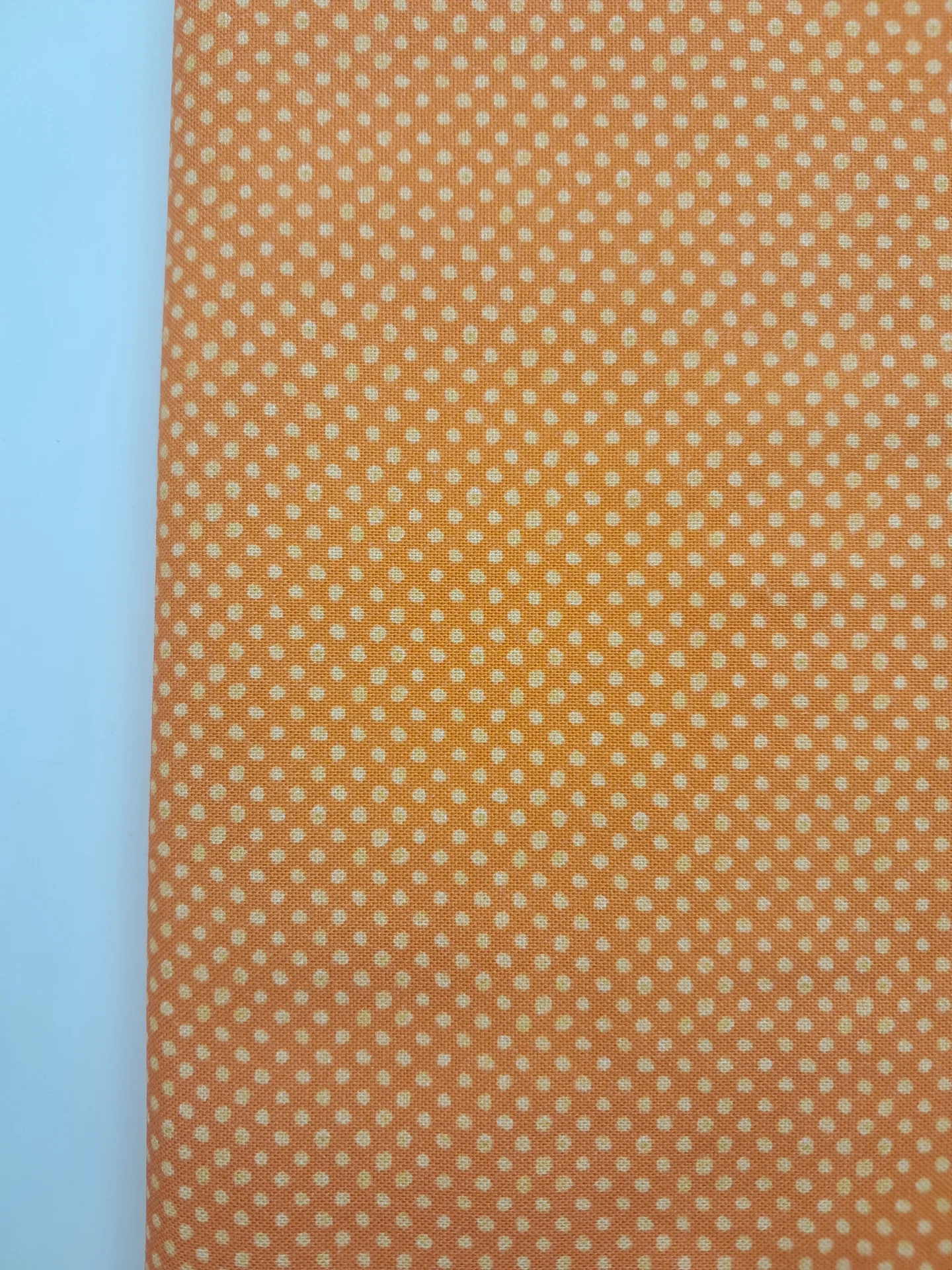 Dots R&B Studio Finch and Fern Orange