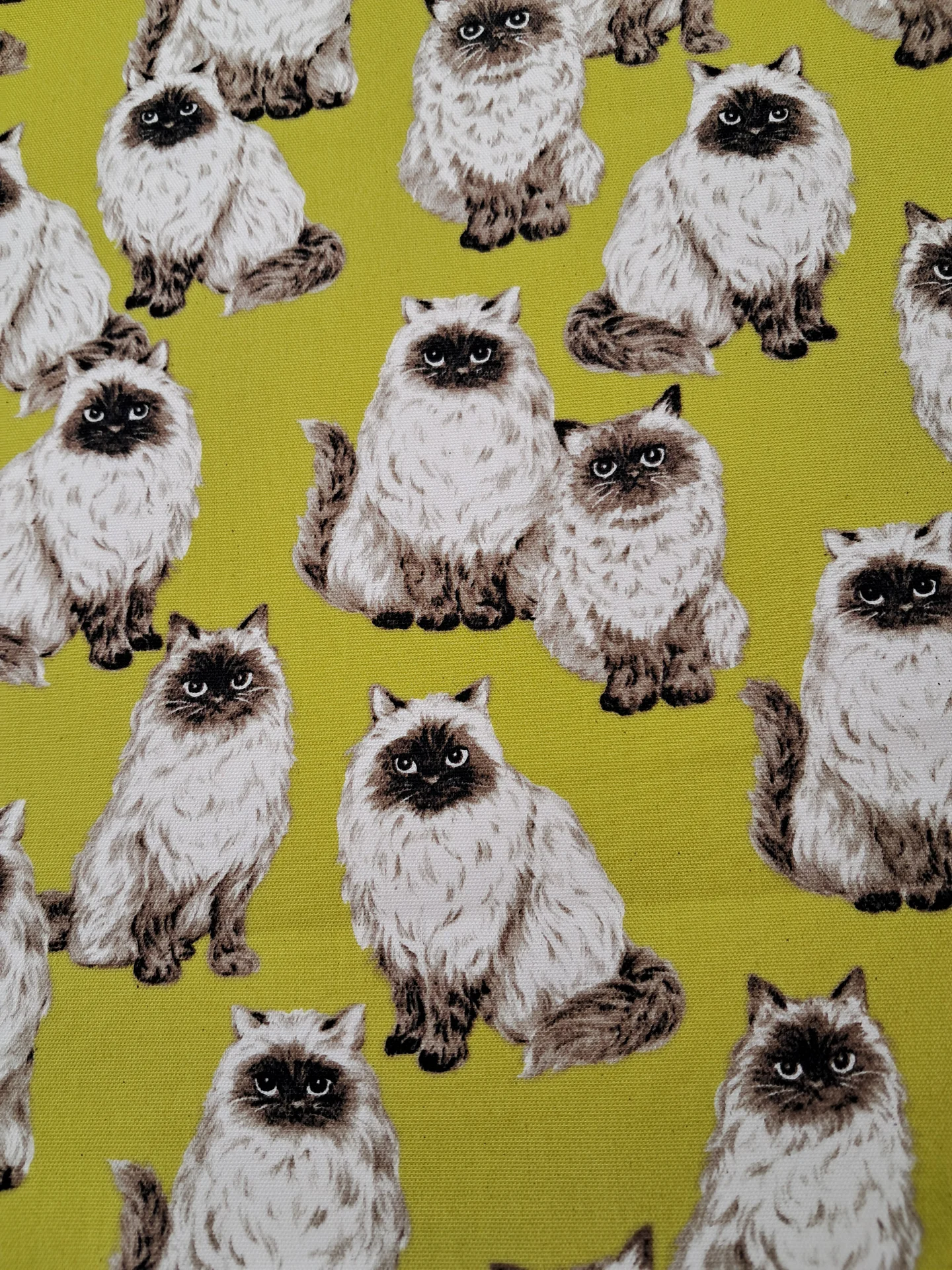 Fabric AGANO Chartreuse Cats