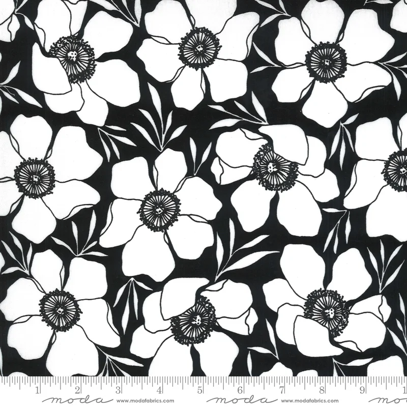 Flowers Black Background with Large White Flowers
