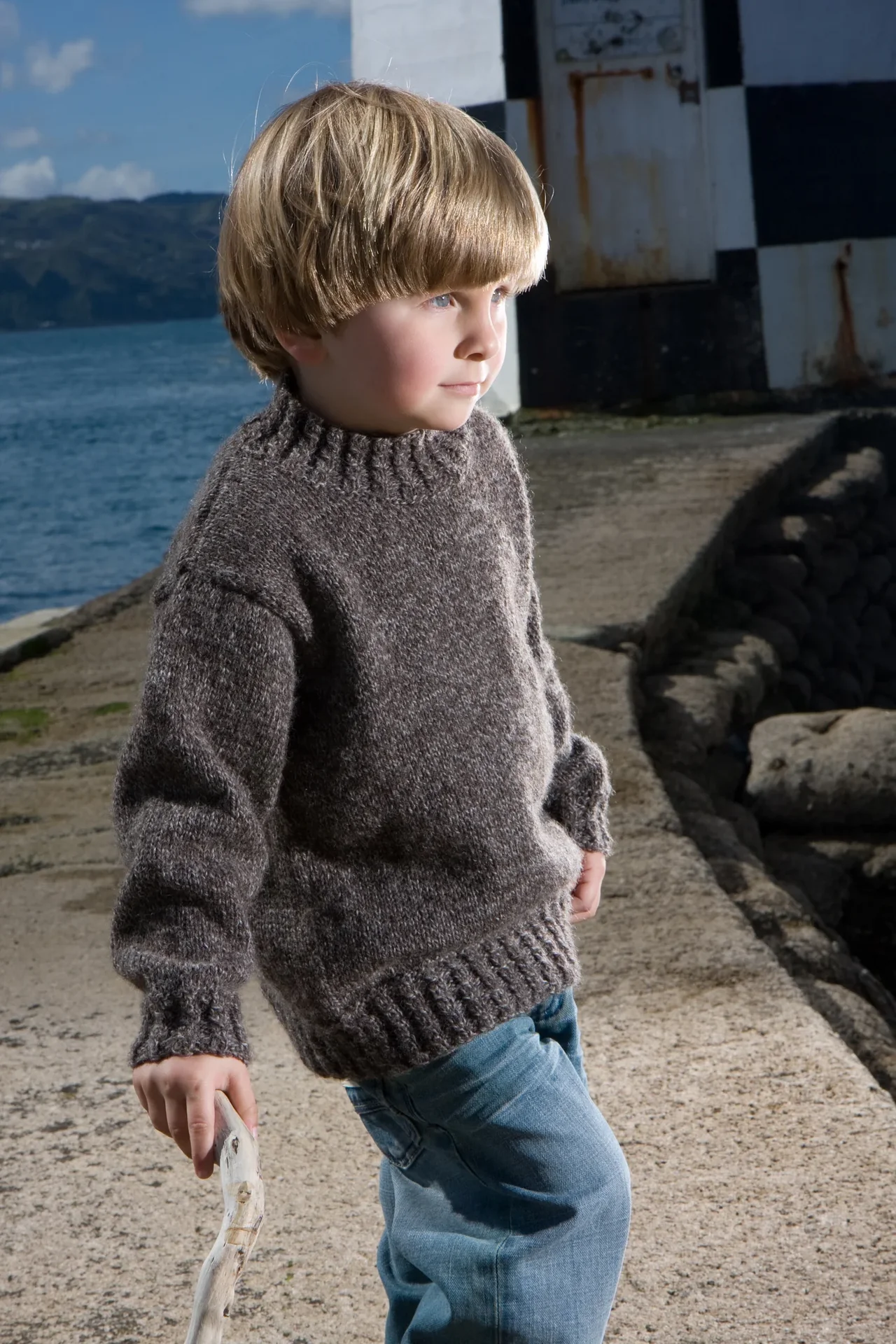 Little Cakes LF 20 Liquorice Twist