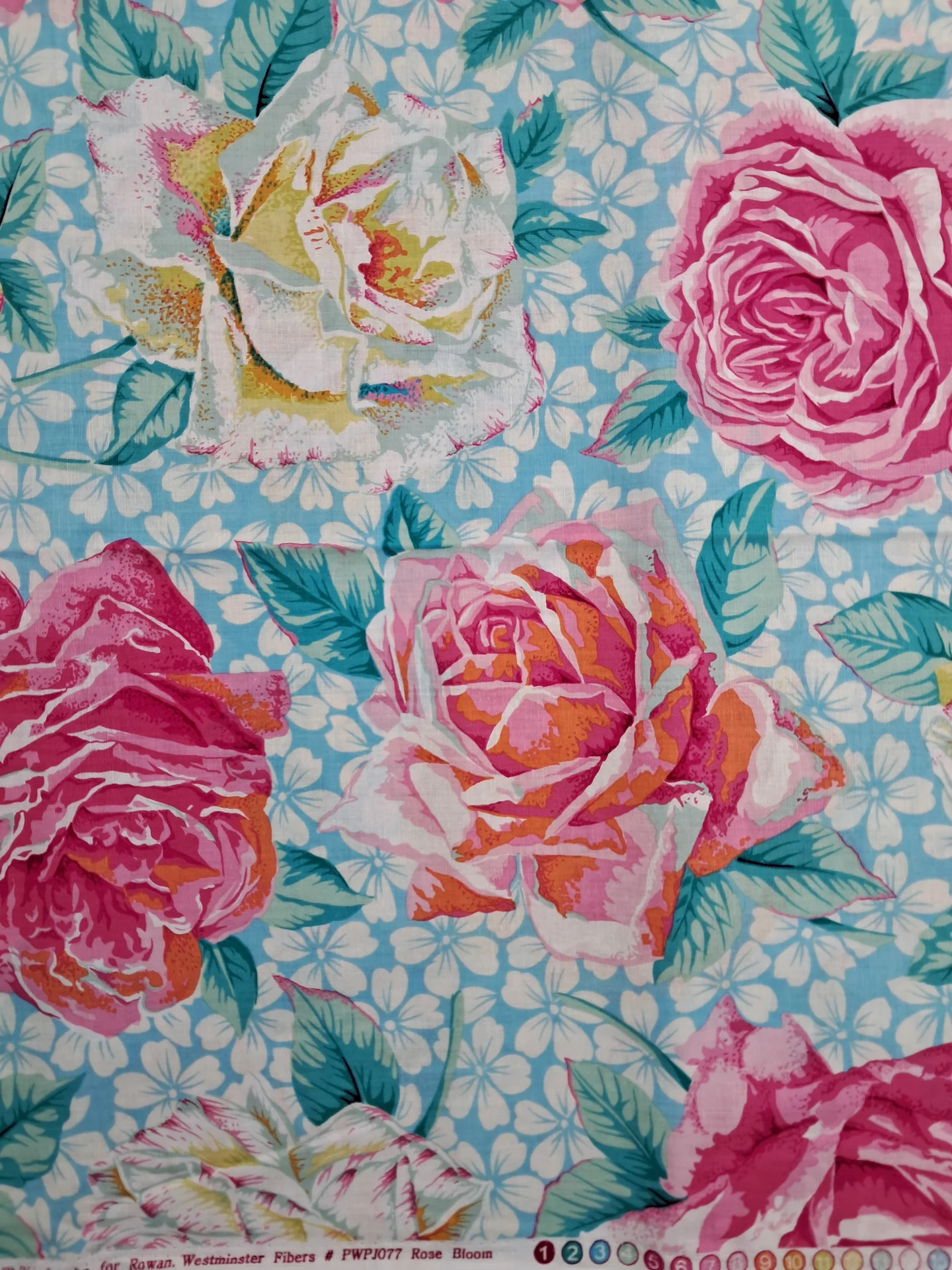 Philip Jacobs 077 Rose Bloom