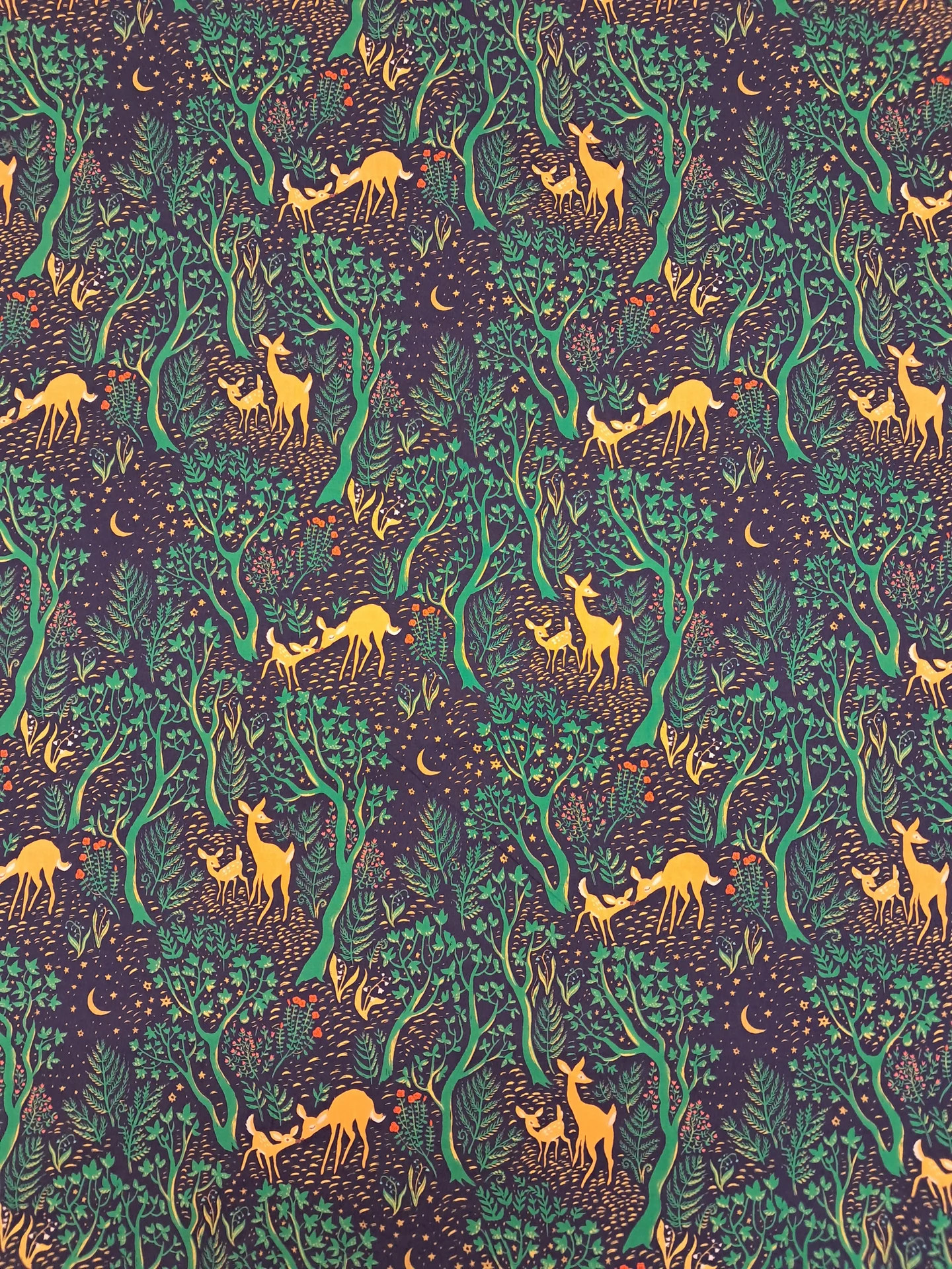 Quilt Backing 43610 4 Midnight