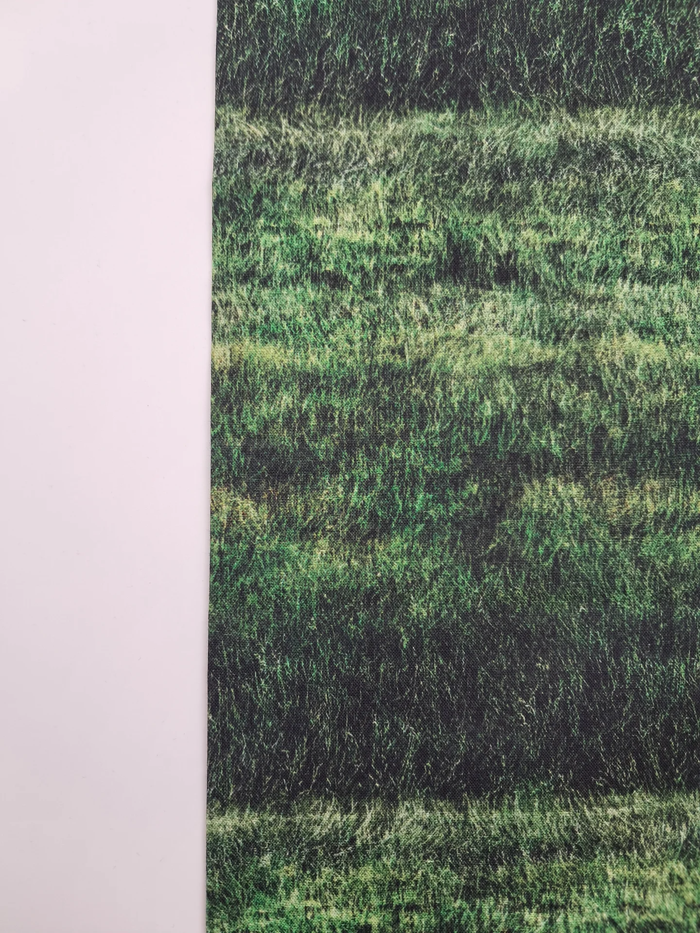 Scenes Grassy Field Green 31293