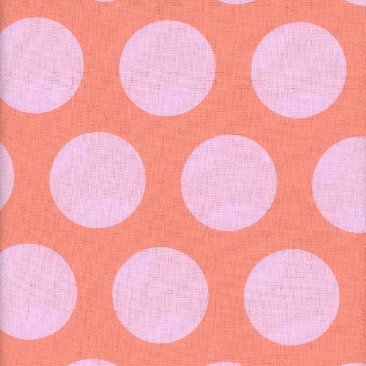 TP Roar Dinosaur Eggs Blush