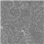 Alison Glass Sun Print 8674 Grey
