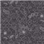 Alison Glass Sun Print 8482 Dark Grey