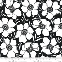 Flowers Black Background with Large White Flowers