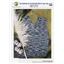 Countrywide Pattern P84 8 Ply Windsor Mens Vest