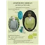 Dorothy Jack Pattern Jumper or Cardigan 8 Ply
