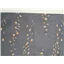 Animal Birds On Move Migrating