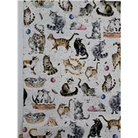 Animal Maywood Whiskers and Paws10414W Cats on Speckled Off White Background