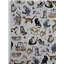 Animal Maywood Whiskers and Paws10414W Cats on Speckled Off White Background
