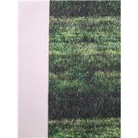 Scenes Grassy Field Green 31293