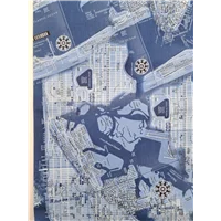 Scenes Street Maps Blues