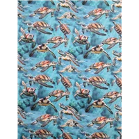 Animals Marine Marvels Turtles