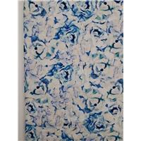 Flowers Romance Shadow Blue Roses