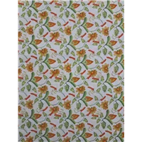 Fabric Cotton 6jhr Orange Avocado