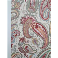 Paisley Vintage Floral On Cream