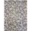 Quilt Backing Tula Pink Graywork Best Buds - photo 3