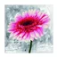No Count Cross Stitch Pink Dahlia