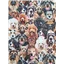 Animals Packing Dogs Portait Natural - photo 1