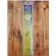 Ruler Add A Quarter 12 Inch Plus
