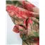 Fabric Rayon Beige Red Green Floral - photo 2