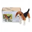 Needle Felting Kit Beagle