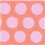 TP Roar Dinosaur Eggs Blush