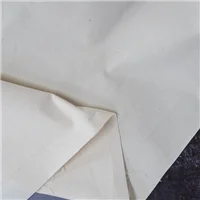 Cotton Canvas 160cm Natural Wht