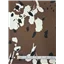 Fabric R8 954 Col 1 - photo 1